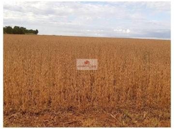 b3e850ca9b7f1513d9ed86962361c82e.jpg · Fazenda com 17000 hectares, 8300 hectares abertos