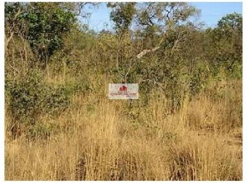 8847f8fb12206a8b189c89921cbd9899.jpg · Fazenda com 2072 hectares, dentro de parque, para reserva