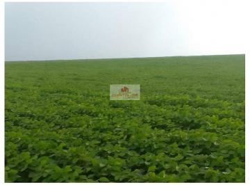 c9b93964ff4634d031b05cf0a4da37c7.jpg · Fazenda com 8000 hectares, dupla aptidão, plana, própria para o cultivo de soja