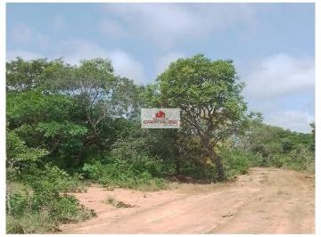 3ee8d78ca010773961f0b901451019ef.jpg · Fazenda com 5500 hectares, dupla aptidão, terra bruta
