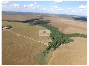 121d7b932c076dd81ef783ff29687c20.jpg · Fazenda na região de Guaraí - TO, com 17300 hectares