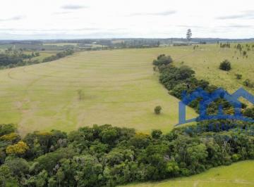 Foto 13 · Sítio/Fazenda à Venda, 74 alqueires por R$ 12.500.000 Cód. ch1391