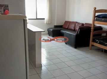 Apartamento · 31m² · 1 Quarto · 1 Vaga · APARTAMENTO À VENDA – PRAIA GRANDE / SP – Balneário Mirim / Vila Caiçara