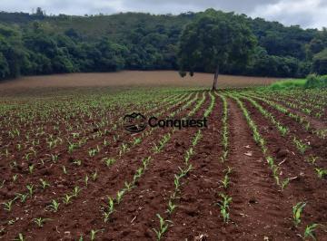 Rural · 500m² · 4 Quartos · Vendo- Uma Linda Fazenda Cidade Entre Rios Minas - 37 Hectares !!