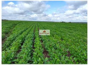 5919b545c779c84ad7aafccba02e75e8.jpg · Fazenda com 5200 hectares, 3000 hectares em pasto (com 3000 gados bovino)