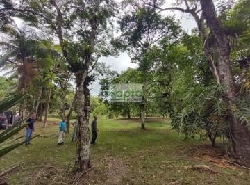 Rural · 10000m² · 3 Quartos · 6 Vagas · Sitio, Miracatu- SP