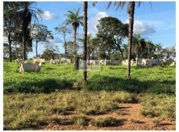 893154fa8d42dac3aa785c5571ded305.jpg · Fazenda com 2574 hectares, de pecuária, aberta em pasto