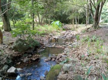 Foto 01 · Area, Linha Temerária, Nova Petrópolis, RS