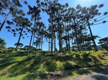 Foto 09 · TERRENO EM CAMPO ALEGRE | EXCELENTE LOCALIZAÇÃO | 2.200 M²