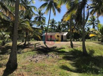 Rural · 9872m² · 1 Quarto · Vendo Excelente Área na Praia de Atalaia em Canavieiras Bahia