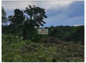 7149369aee9545a123a112683f7b725e.jpg · Fazenda com 625 hectares, dupla aptidão, plana e levemente ondulada