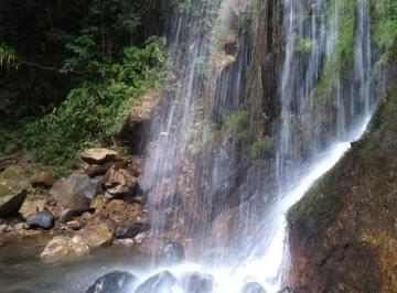 Foto 10 · Chácara à Venda em Joinville-SC, 6 Quartos, 4 Salas, 6 Banheiros, 6 Vagas, 912.000m² de Área!