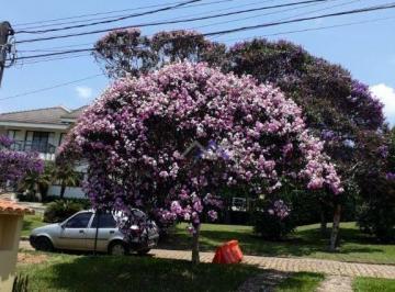 29b5ef6ef2a87b819576823fcfba2687652fecb8 · Casa com 4 dormitórios à venda, 289 m² por R$ 2.300.000,00 - Cond. Portal da Concordia - Cabreúva/SP