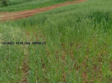 20231221162446409.jpg · Terreno Rural para Venda em Rolândia