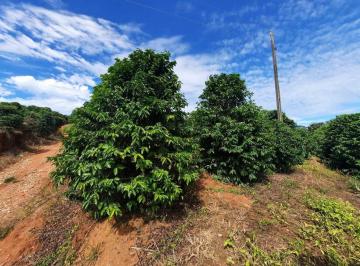 446ae3e5e4ff5dbfed353b77654b186b.jpeg · Fazenda / Sítios / Chácaras com 4 quartos à venda em Ouro Fino, no bairro Zona Rural