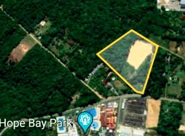Terreno , Manaus · Terreno Tarumã com 30 mil m²