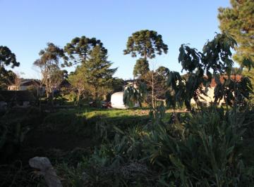 258429.jpg · Terreno - Bairro Centro