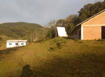 934833.jpg · Sítio - Bairro Amoreira