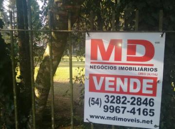 410020.jpg · Terreno - Bairro Vila Suzana