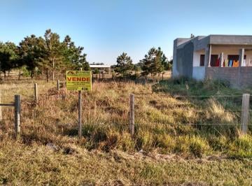 911498.jpg · Terreno - Bairro FIGUEIRINHA