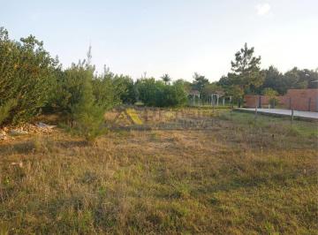 276696.jpg · Terreno - Bairro FIGUEIRINHA