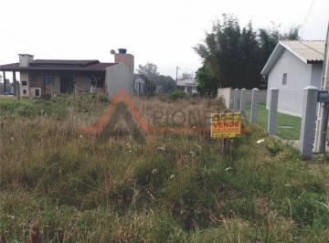 137687.jpg · Terreno - Bairro SÃO PEDRO