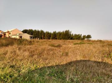 296689.jpg · Terreno - Bairro PÉROLA