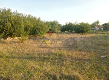 152837.jpg · Terreno - Bairro FIGUEIRINHA