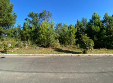 728529.jpg · Terreno - Bairro Mato Queimado