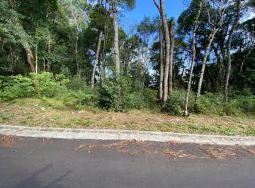 327359.jpg · Terreno - Bairro Floresta