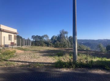 751586.jpg · Terreno - Bairro Vila Dante
