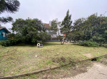 561133.jpg · Terreno - Bairro Centro