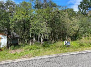 730145.jpg · Terreno - Bairro Carniel