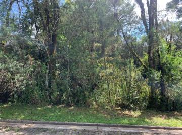 143883.jpg · Terreno - Bairro Carniel