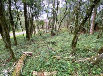 209665.jpg · Terreno em Condomínio - Bairro Pinheiro Grosso