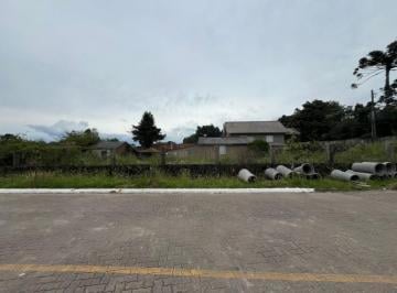 816560.jpg · Terreno - Bairro Vila Dante