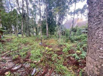 835113.jpg · Terreno - Bairro Planalto