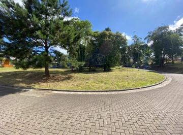 463923.jpg · Terreno - Bairro Carniel