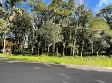 132168.jpg · Terreno - Bairro Floresta