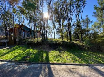 108796.jpg · Terreno - Bairro Carniel