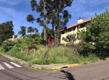 285366.jpg · Terreno - Bairro Vila Maggi