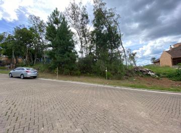 166409.jpg · Terreno - Bairro Carniel
