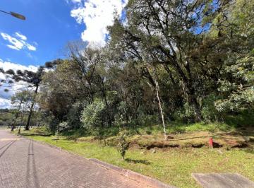 970146.jpg · Terreno em Condomínio - Bairro Pinheiro Grosso