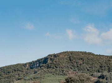857964.jpg · Terreno - Bairro Várzea Grande