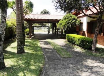 185894.jpg · Casa 4 ou + dormitórios - Bairro Vila Suzana