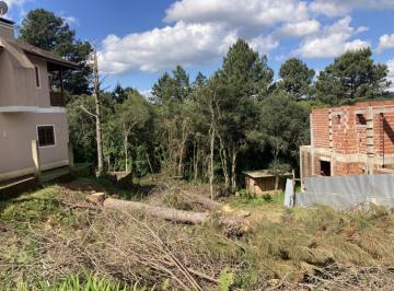540402.jpg · Terreno - Bairro Carniel