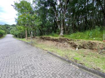 394258.jpg · Terreno em Condomínio - Bairro Pinheiro Grosso