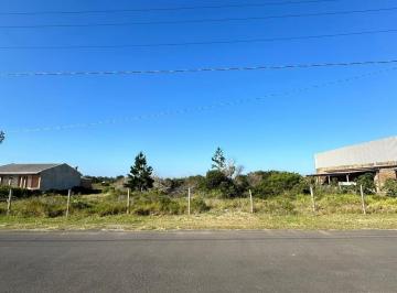 729789.jpg · Terreno - Bairro Santa Terezinha