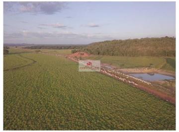 a6cd3c66b3382a1a77be1b3ac6a8ae8e.jpg · Fazenda com 20.000 hectares, com 17.400 hectares de área aberta e pastagem