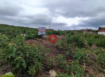 Terreno · 200m² · Terreno à venda - em Rendeiras